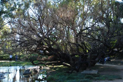 DSC_0076 (Large).JPG